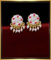 imitation jewelry,1 gm gold plated ear ring design, Kallu thodu designs, stud for women, stone earrings, kal thodu, impon thodu, impon earrings, 